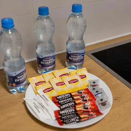 דירה Grunwald Spacious By Bookinghost פוזנן